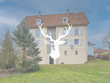 Wohnung zum Kauf 119.000 € 3 Zimmer 54 m² Erdgeschoss Laufenburg Laufenburg (Baden) 79725