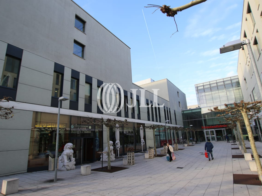 Bürofläche zur Miete provisionsfrei 13,50 € 298 m² Bürofläche teilbar ab 298 m² Vaihingen Stuttgart 70563