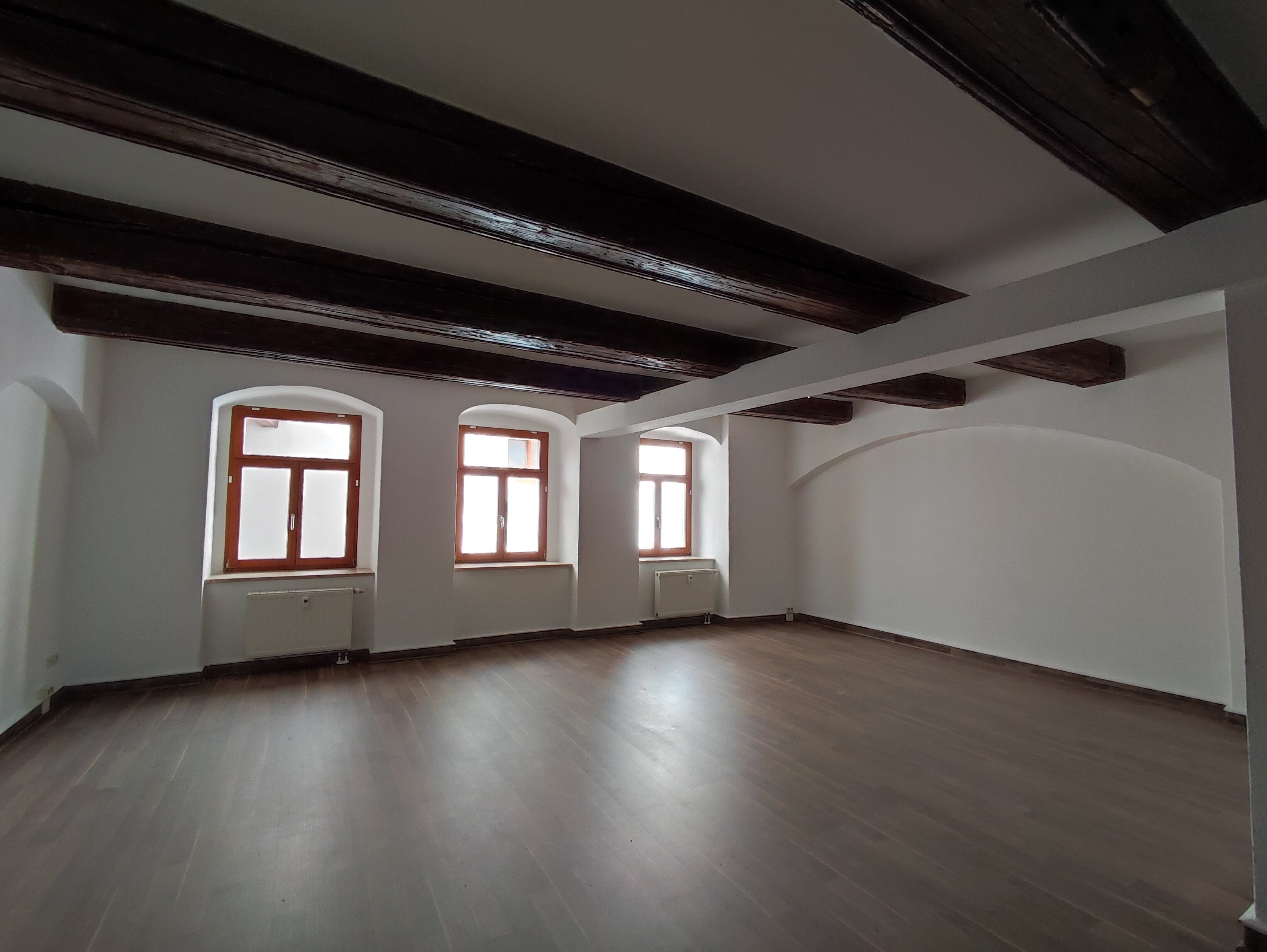 Büro-/Praxisfläche zur Miete provisionsfrei 300 € 1 Zimmer 56,5 m²<br/>Bürofläche Dohnaische Straße 74 Pirna Pirna 01796