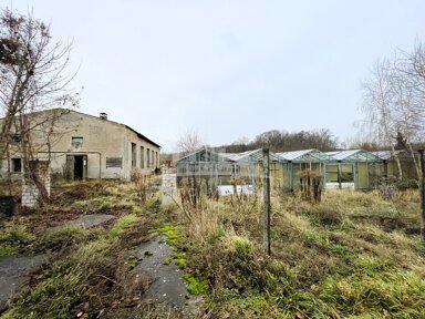 Landwirtschaftliche Fläche zur Versteigerung 50.000 € 6.278 m² Grundstück Deetz Groß Kreutz (Havel) 14550