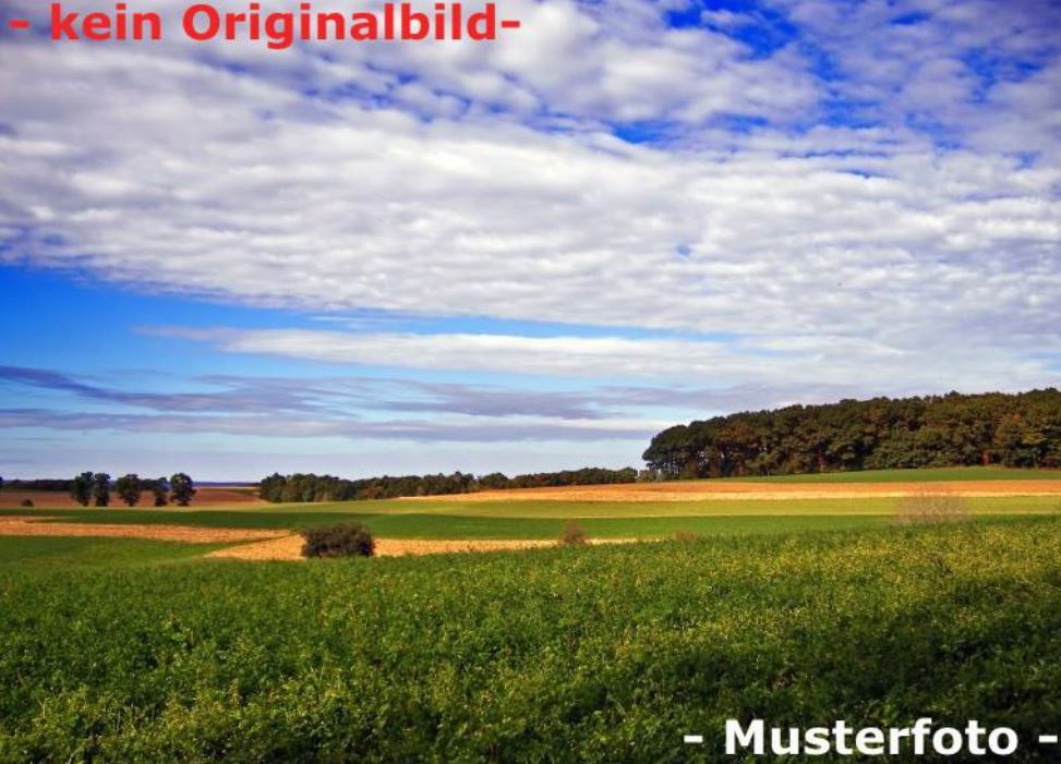 Landwirtschaftliche Fläche zum Kauf 39.861 m²<br/>Grundstück Gosheim Huisheim 86685