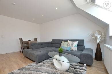 Wohnung zur Miete Wohnen auf Zeit 1.350 € 2 Zimmer 55 m² frei ab sofort Nördlicher Stadtteil Schweinfurt 97422