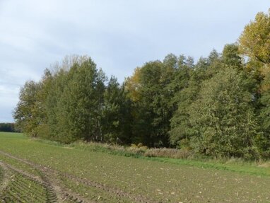 Land-/Forstwirtschaft zum Kauf 78.500 € 82.628 m² Grundstück Naundorf Naundorf 04769