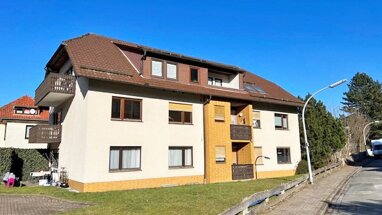 Wohnung zum Kauf 30.000 € 1 Zimmer 34,3 m² Erdgeschoss Bad Sachsa Bad Sachsa 37441