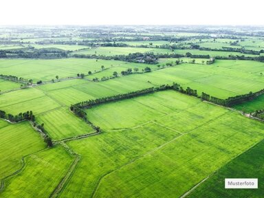 Grundstück zum Kauf provisionsfrei 310 m² Grundstück Bad Freienwalde Bad Freienwalde 16259