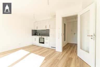 Penthouse zur Miete 808 € 2 Zimmer 47 m² 3. Geschoss Gernrode Gernrode 06485