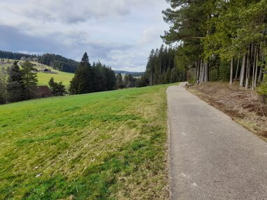 Grundstück zum Kauf provisionsfrei 15.249 m² Grundstück Villingerstraße Peterzell Sankt Georgen im Schwarzwald 78112