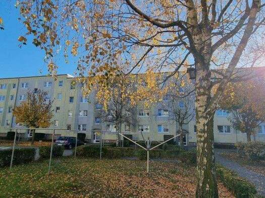 Wohnung zur Miete 400 € 2 Zimmer 50 m² frei ab sofort Am Volkskulturpark 28 Pasewalk 17309