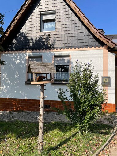 Einfamilienhaus zum Kauf 76.000 € 4 Zimmer 120 m² 1.110 m² Grundstück Schackstedt Aschersleben 06449