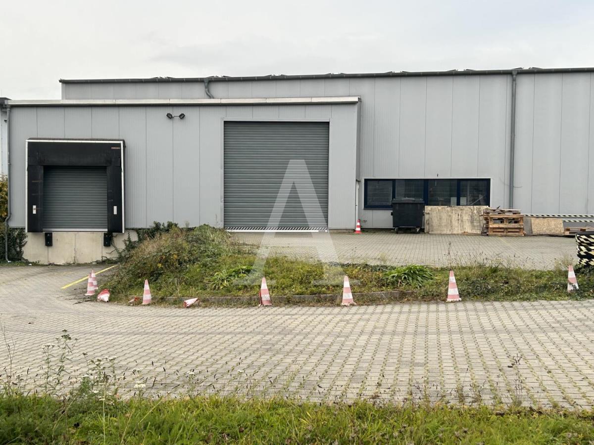 Halle/Industriefläche zur Miete 3.500 m²<br/>Lagerfläche ab 3.500 m²<br/>Teilbarkeit Paffendorf Bergheim 50126