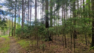 Land-/Forstwirtschaft zum Kauf 45.000 € 7.550 m² Grundstück Pleiskirchen Pleiskirchen 84568