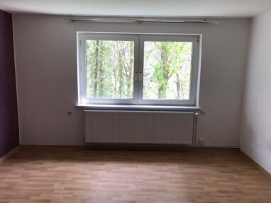 Wohnung zur Miete 285 € 3 Zimmer 52 m² Erdgeschoss Breslauer Str.  6 Wolfshagen Langelsheim 38685