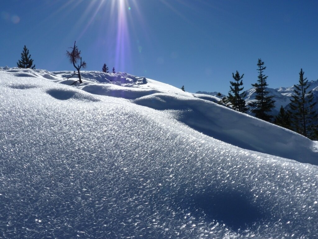 Hotel zum Kauf provisionsfrei Ötztal 6444