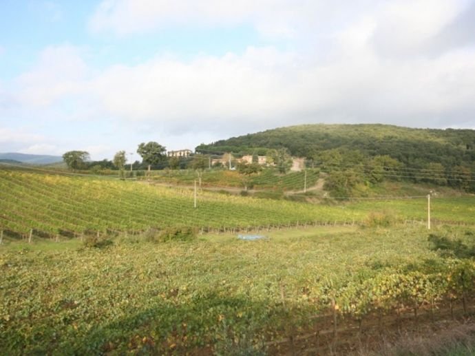 Weingut zum Kauf 6.000.000 € 500 m²<br/>Fläche 70.000 m²<br/>Grundstück Montalcino 53024