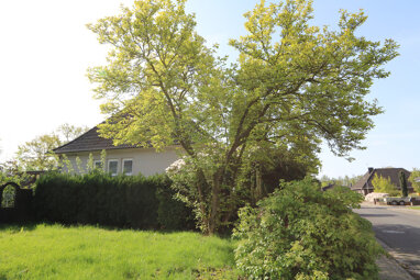Einfamilienhaus zum Kauf 239.000 € 3,5 Zimmer 100 m² 1.240 m² Grundstück Goldenstedt Goldenstedt 49424