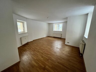 Wohnung zur Miete 373 € 1 Zimmer 53,3 m² -1. Geschoss Willy-Lohmann-Straße 12 Paulusviertel Halle (Saale) 06114