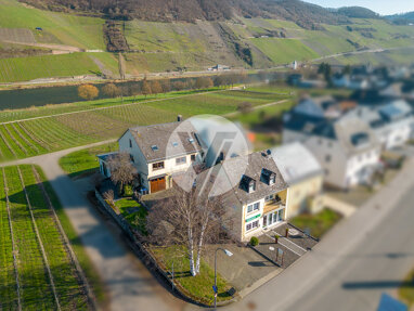 Haus zum Kauf 799.000 € 18 Zimmer 450 m² 1.539 m² Grundstück Trittenheim 54349