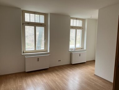 Wohnung zur Miete 230,40 € 2 Zimmer 45 m² Erdgeschoss Dr. Wilhelm Külz Str. 47 Auerbach Auerbach 08209