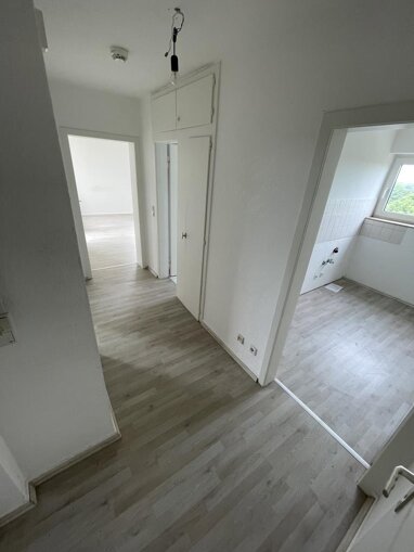 Wohnung zur Miete 369 € 2 Zimmer 51,6 m² 8. Geschoss Eppmannsweg 23 Hassel Gelsenkirchen 45896