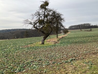 Landwirtschaftliche Fläche zum Kauf 99.000 € 8.563 m² Grundstück Wüstenwelsberg Untermerzbach 96190