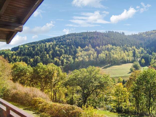Wohnung zum Kauf 99.000 € 2 Zimmer 50 m² Züschen Winterberg 59955