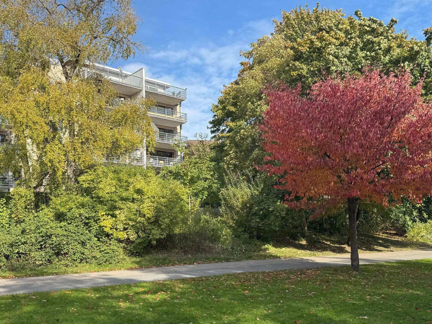 Wohnung zum Kauf · provisionsfrei