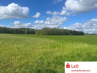 Land-/Forstwirtschaft zum Kauf 56.796 m² Grundstück Neuenkämpen Lindern 49699