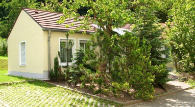 Terrassenwohnung zur Miete 400 € 2 Zimmer 49 m² Radebeul 01445