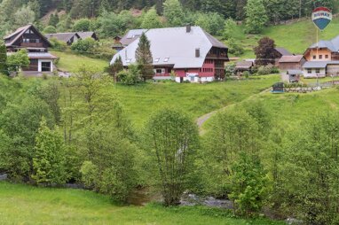 Bauernhaus zum Kauf 450.000 € 8,5 Zimmer 243 m² 1.759 m² Grundstück Glashütte Todtmoos 79682
