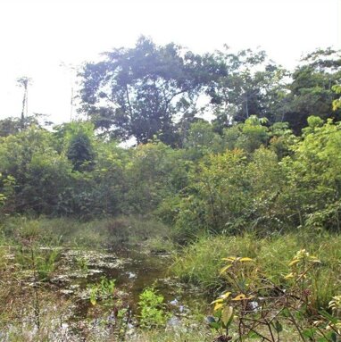 Grundstück zum Kauf 650.000 € 628.300 m² Grundstück Iquitos, Loreto 16000