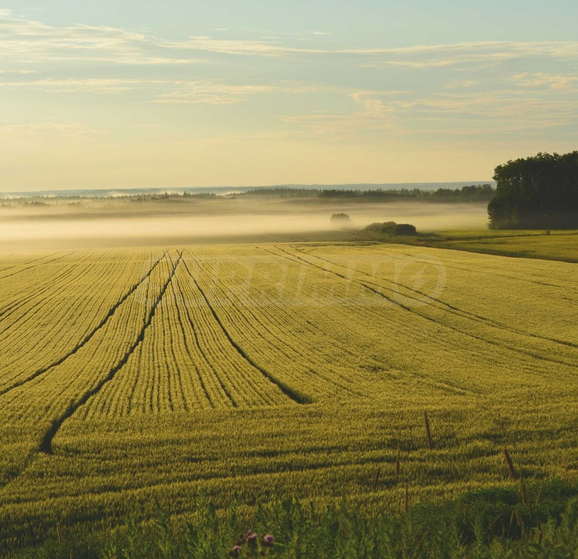 Landwirtschaftliche Fläche zum Kauf 5.000 € Malko Tarnovo