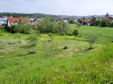 Grundstück zum Kauf Provisionsfrei 90 € 800 m² Grundstück Auf der Bauna Wolfershausen Felsberg 34587