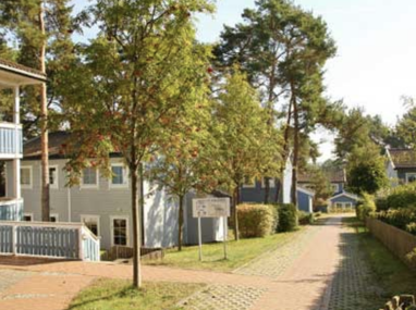 Reihenendhaus zum Kauf 470.000 € 6 Zimmer 113 m² 390 m² Grundstück Am Schloonsee 1 Seebad Bansin Heringsdorf 17429