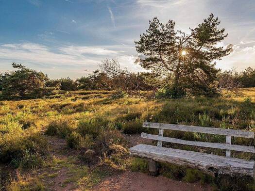 Wohnanlage zum Kauf provisionsfrei als Kapitalanlage geeignet 478.540 € 3 Zimmer 135 m² Ullersdorf Radeberg 01454