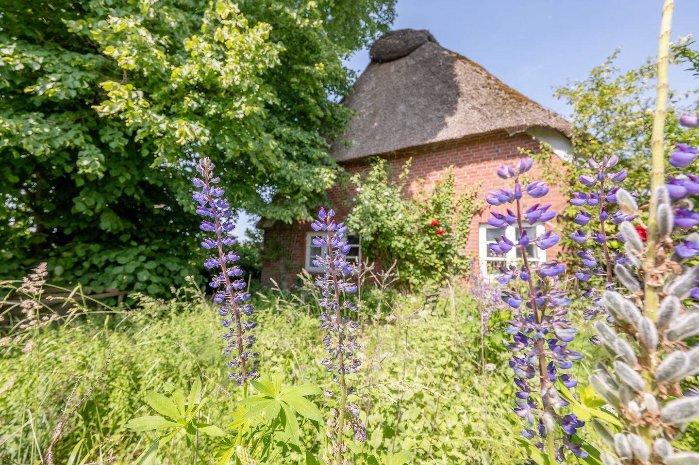 Einfamilienhaus zum Kauf