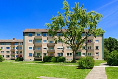 Wohnung zur Miete 404 € 2,5 Zimmer 52 m² 1. Geschoss Kastanienweg 38 Südliche Stadtmitte Ahlen 59229