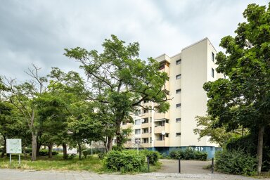 Wohnung zur Miete 452 € 2 Zimmer 52,3 m² 8. Geschoss frei ab 01.02.2025 Pillnitzer Weg 31 Staaken Berlin 13593