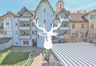 Wohnung zur Miete 1.050 € 4 Zimmer 105 m² frei ab 01.04.2025 Tiengen Waldshut-Tiengen 79761