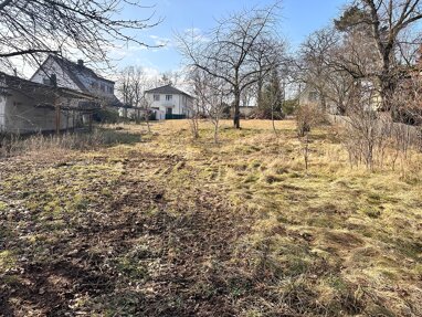 Grundstück zum Kauf 290.000 € 1.160 m² Grundstück Friedewald Moritzburg 01468