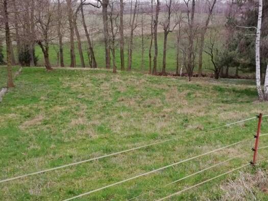 Grundstück zum Kauf 58.000 € 1.055 m² Grundstück Talstraße Lichteneichen Mügeln 04769