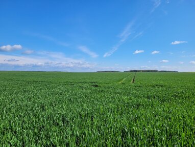 Landwirtschaftliche Fläche zum Kauf 1.250.000 m² Vietznitz Friesack 14662