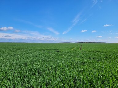 Landwirtschaftliche Fläche zum Kauf 1.250.000 m² Vietznitz Friesack 14662