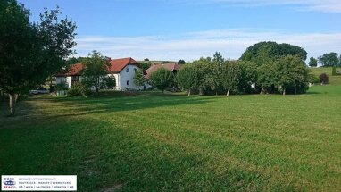 Haus zum Kauf 260 m² 16.700 m² Grundstück Waizenkirchen 4730