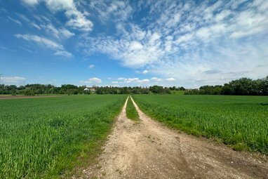 Land-/Forstwirtschaft zum Kauf 110.000 € 5.250 m² Grundstück Günding Bergkirchen 85232