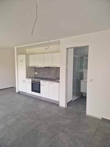 Apartment zur Miete 500 € 1 Zimmer 43 m² Dirmstein 67246
