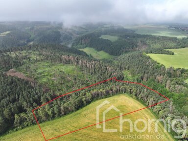 Land-/Forstwirtschaft zum Kauf 27.500 € 30.753 m² Grundstück Teichel Rudolstadt / Teichel 07407