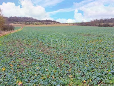 Landwirtschaftliche Fläche zum Kauf 2.600.000 € 692.908 m² Grundstück Hansenhaus Marburg 35039