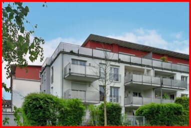 Wohnung zur Miete 500 € 2 Zimmer 47,5 m² Pfaffenhofen a d Ilm Pfaffenhofen 85276