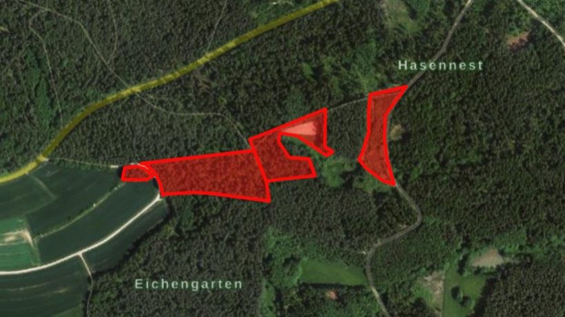 Forstwirtschaft zum Kauf 165.900 € 36.000 m² 36.000 m² Grundstück Hammermühle Creußen 95473