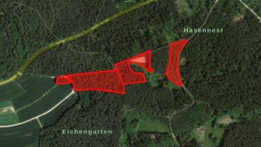 Forstwirtschaft zum Kauf 165.900 € 36.000 m² 36.000 m² Grundstück Hammermühle Creußen 95473